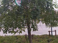 -汉江湾体育公园