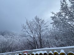 -秦岭风景区