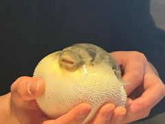-永安鱼庄·镇江菜(三店纬五路店)