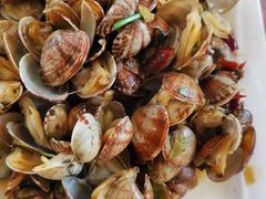 辣炒蛤蜊-1910老鲁味海鲜·戳子肉·青岛菜(金沙滩店)