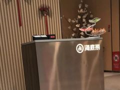 -海底捞火锅(金鼎广场店)