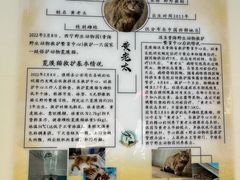 -青藏高原野生动物园