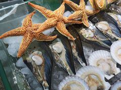 -海岛渔村大酒店(云霄路店)