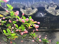 -常熟方塔园