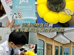 -pd派德宠物中心医院24H急重症·眼科中心·血液透析中心(嵩山北路店)