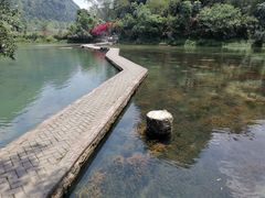 -靖西鹅泉风景区