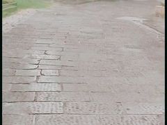 -龙川湾千岛湖国际垂钓中心