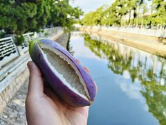 -大观篆新农贸市场