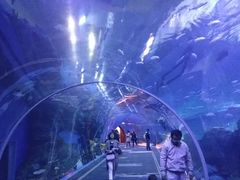 -成都浩海立方海洋公园