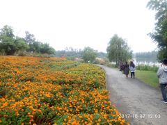 -白鹭湾湿地公园