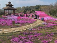 -棒棰岛宾馆景区