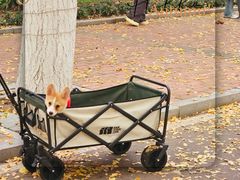 -辽东学院(南校区)