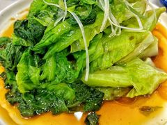 豉油罗马生菜-百味饺子城•海鲜家常菜(秦皇岛店)