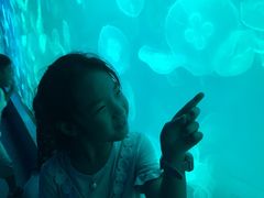 -左海海底世界