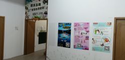 -逝水玩具折扣店