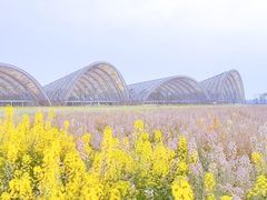 -中国天府农业博览园