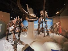 -国家自然博物馆