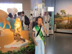 -陕西自然博物馆