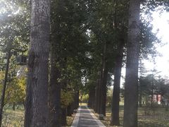 -晋祠公园