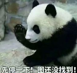 -赫本印象美容纤体