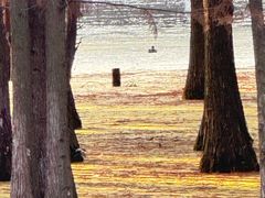 -白鹭湾湿地公园