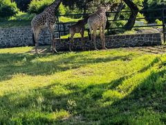 -沈阳森林动物园