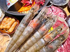 -阳阳老火锅(小南门店)