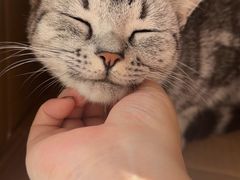 -全家福东北菜(大运河博物馆店)