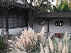 -莫愁湖公园