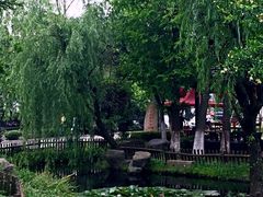 iphone_upload_pic-旺山景区