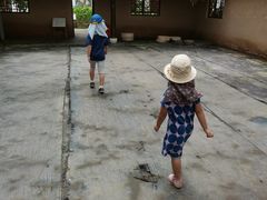-上海都市菜园