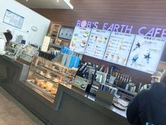 -抱抱地球咖啡馆(国家海洋博物馆店)