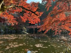 -醍醐寺