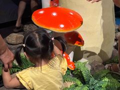 -厦门诚毅自然探索馆