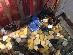 -戴记龙虾(天泽街店)