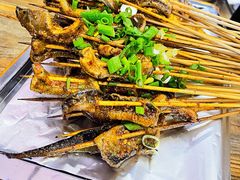 鳝鱼-晓靖轩烧烤(沙河风情店)