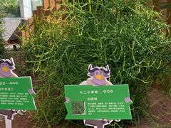 -黄龙溪欢乐田园