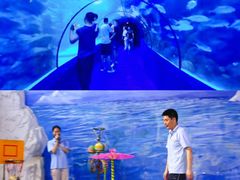 -左海海底世界