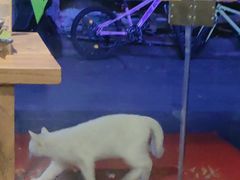 -紫滇源云南生态菜(丹凤街店)