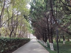-紫薇公园