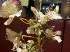 -金枝玉叶上海人家食府(三里河店)