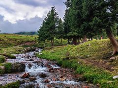 -新疆那拉提国家旅游度假区