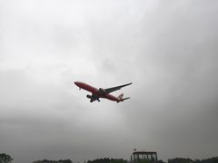 -空港花田景区