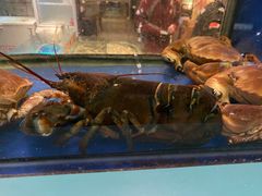 -肥仔文澳门猪骨煲(南京西路店)