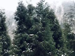 -九峰山