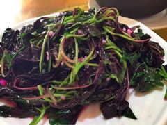 茶马古道饭店-茶马古道·野生菌清汤黄牛肉(沙溪店)