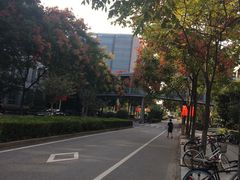 -同济大学(嘉定校区)