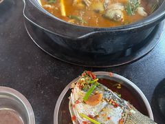 -老杨砂锅鱼庄