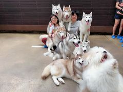 -TrueLove @ Neverland (Husky Cafe)