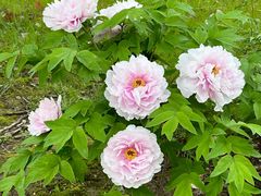 -狼山风景名胜区